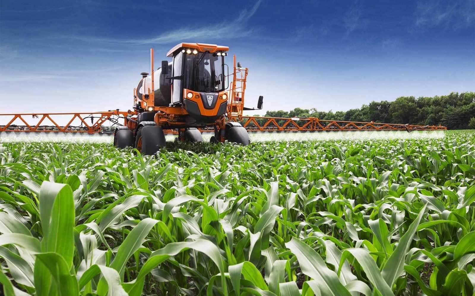 agricultura-moz-lamb_Easy-Resize.com_